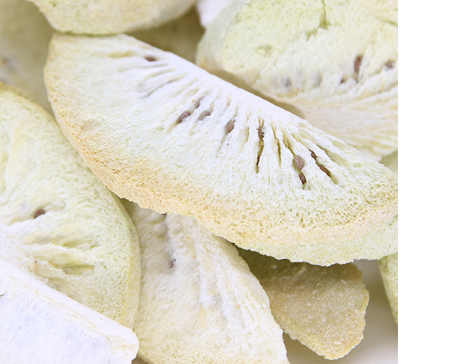China freeze dried kiwi