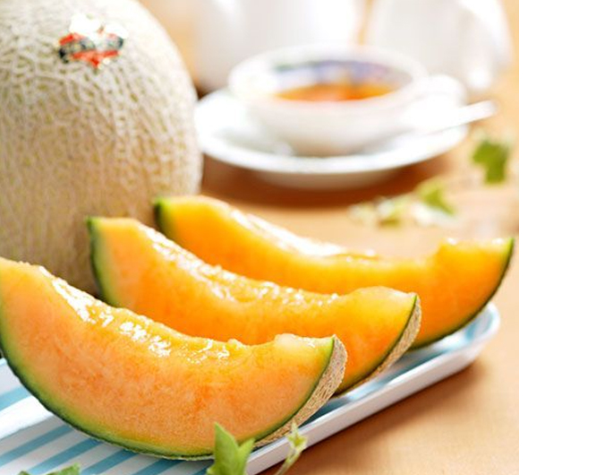 China freeze dried melon powder factory