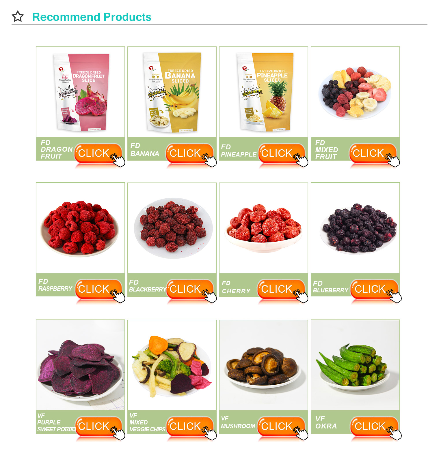 FD fruits and vegetables manufacturers