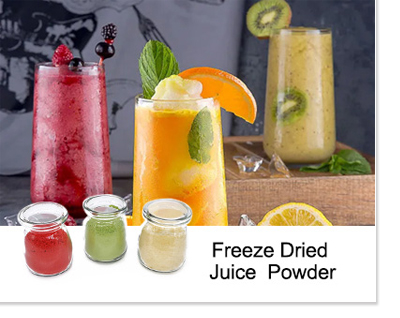 China freeze dried juice powder