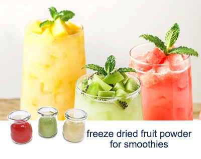 freeze dried fruit powder for smoothies suppliers