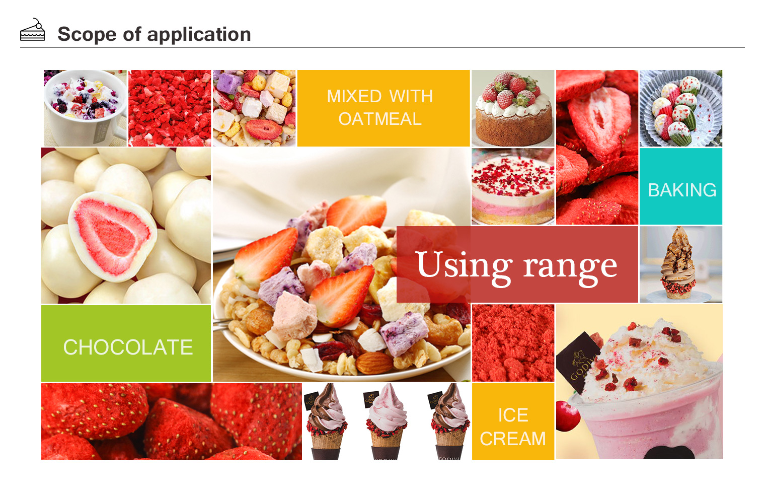 Bulk dried raspberry powder