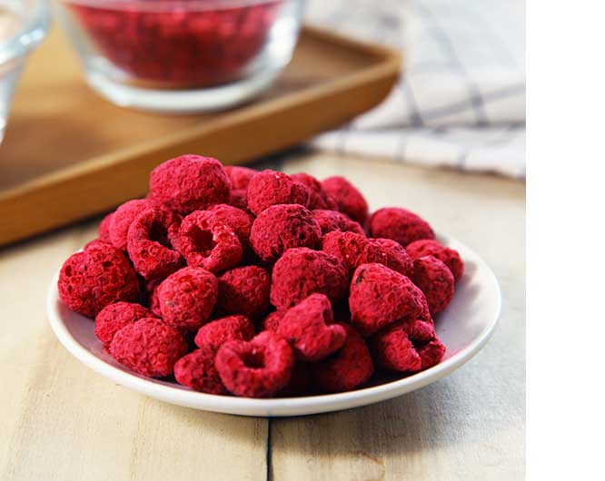 freeze dried food companies