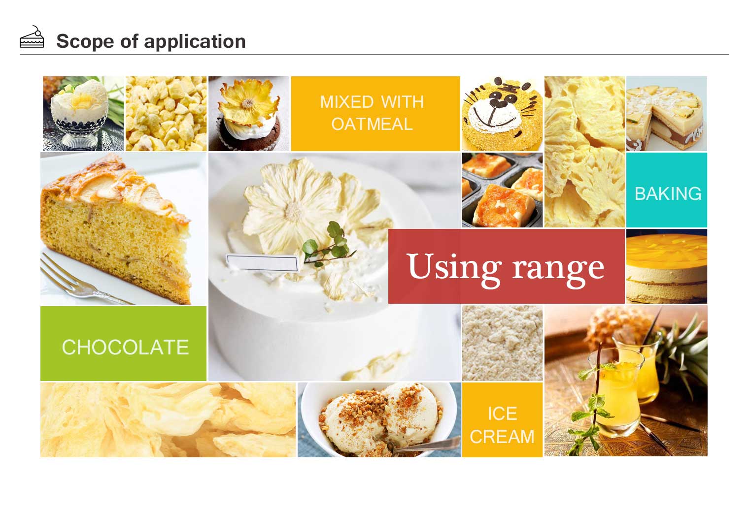 China organic freeze dried pineapple suppliers