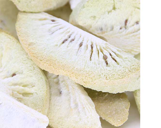 China freeze dried kiwi