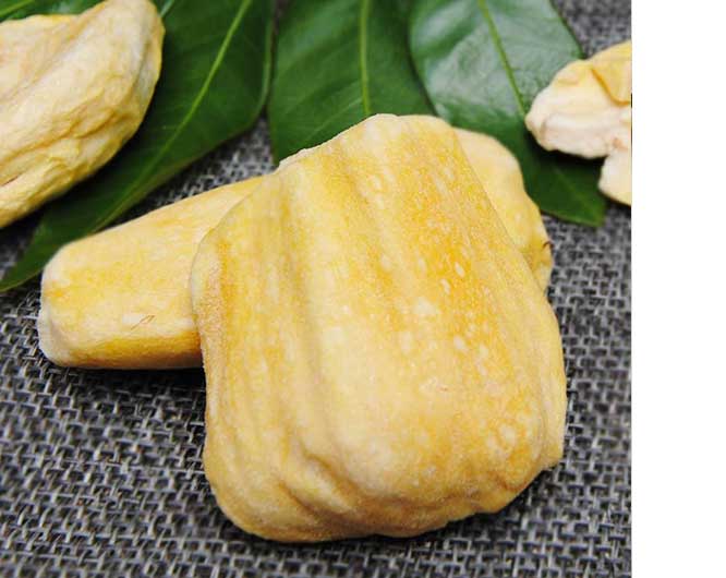 freeze dried Jackfruit made in China