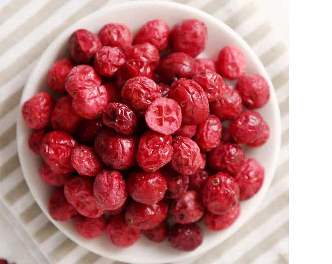 freeze dried food companies