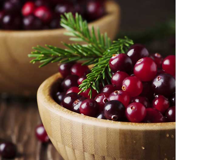  freeze dried cranberry