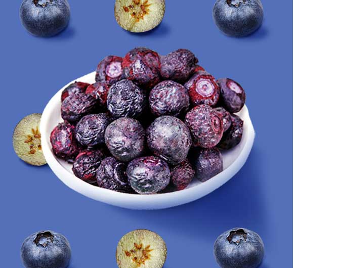 freeze dried food companies