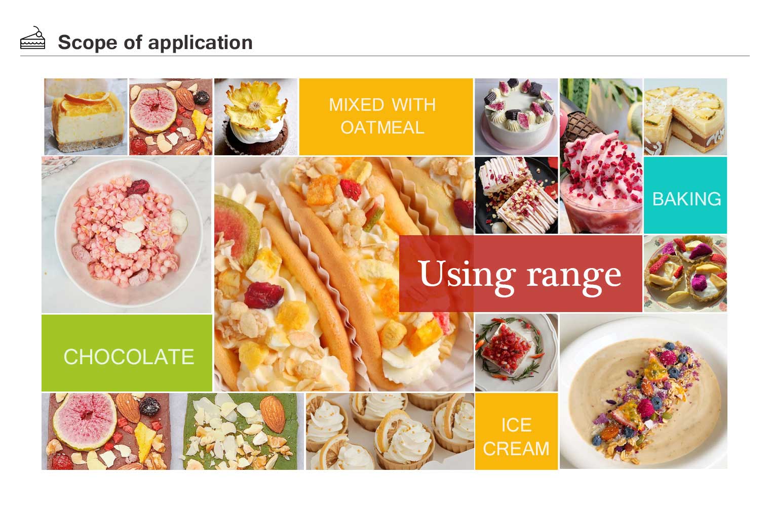 freeze dried food bulk wholesale