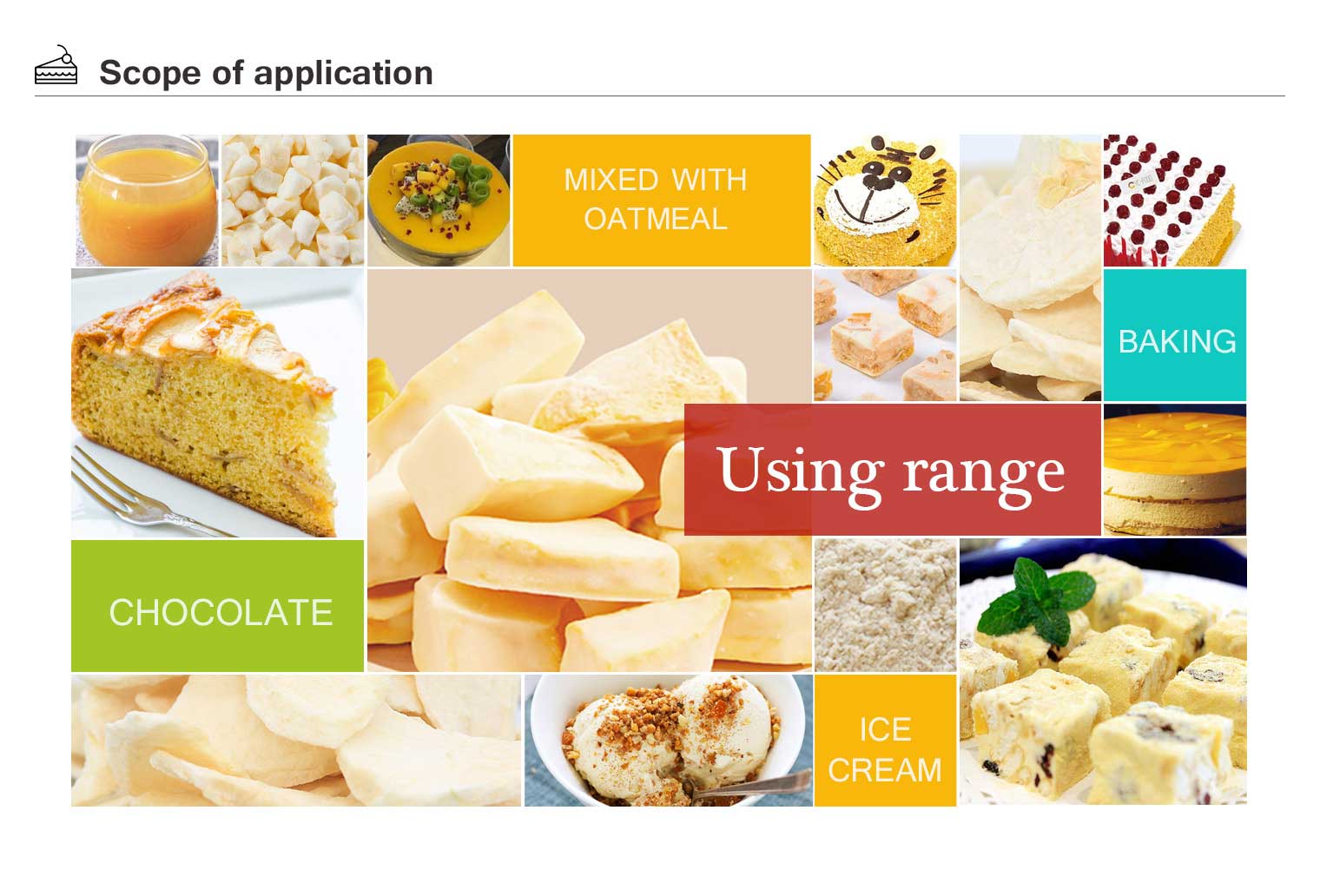 buy freeze dried Banana Slices