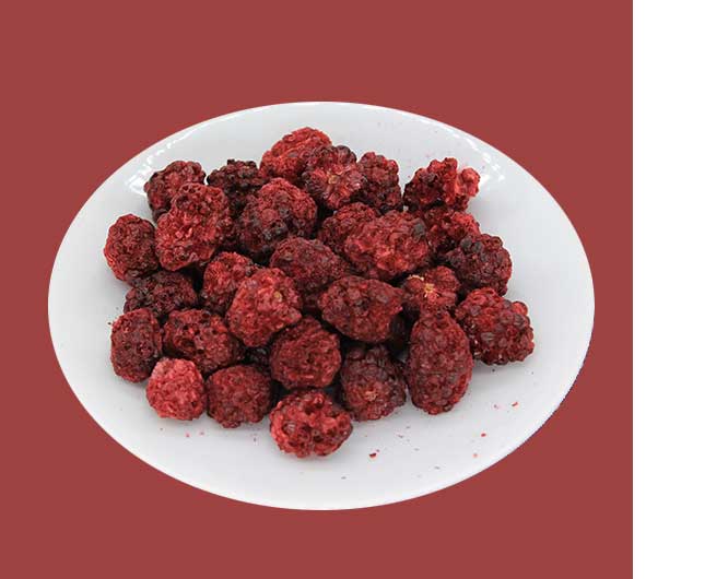 China organic freeze dried blackberries