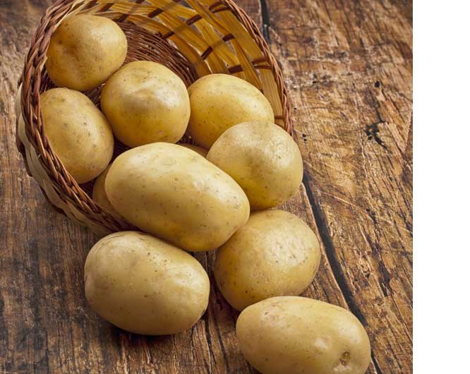 vacuum fried Potato Strip made in China