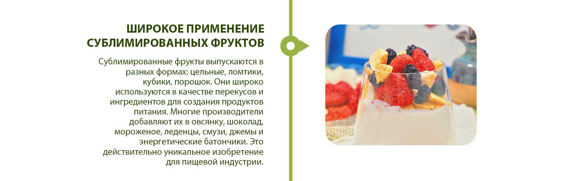 freeze dried fruit bulk wholesale