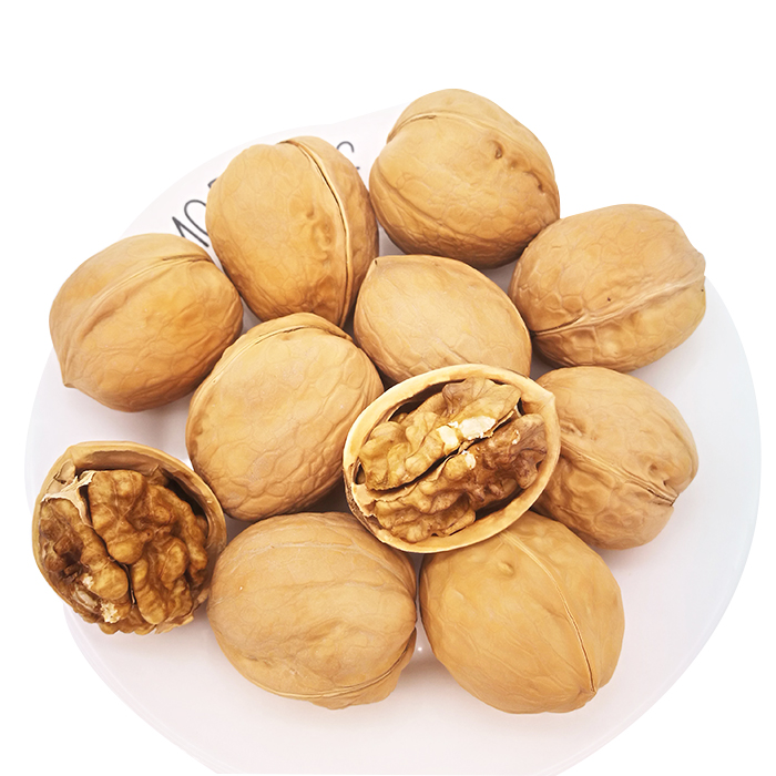 TTN Thin Shell Walnut Price China 