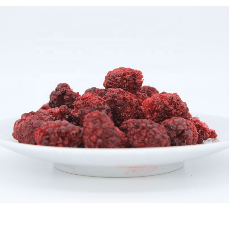 Wholesale Sales Freeze Dried Blackberry